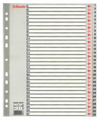 Esselte 100127 lengüeta de índice Separador numérico con pestaña Polipropileno [PP] Gris (Esselte register PP A4 maxi 1-31 grÃ¥)
