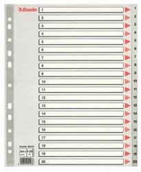Esselte 100126 lengüeta de índice Separador numérico con pestaña Polipropileno [PP] Gris (Esselte register PP A4 maxi 1-20 grÃ¥)
