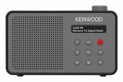 Radio Portable Digital Grey - Warranty: 12M