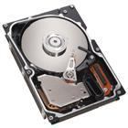 IBM 300GB SAS disco duro interno 10000 RPM 16 MB 3.5" 