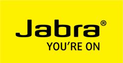 JABRA BLUEPARROTT B450-XT CUSHION KIT